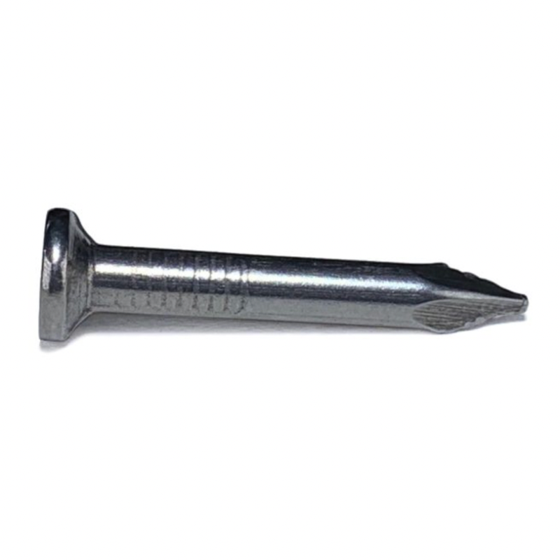 Nail  1" x 10 Gauge