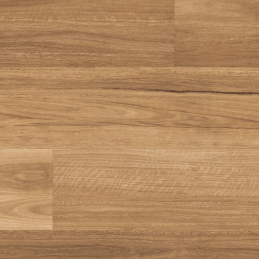 Karndean - Lemon Spotted Gum - Looselay LVP